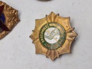 Lot diverse pins 