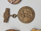 Lot diverse pins 