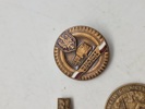Lot diverse pins 