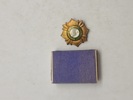 Lot diverse pins 