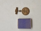 Lot diverse pins 