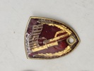Lot diverse pins 