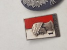 Lot diverse pins 