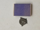 Original Tysk politi pin 