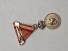 Original Østrigs medalje 