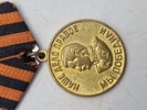 medaljen "For sejren over Tyskland i Den Store Fædrelandskrig 1941-1945". 