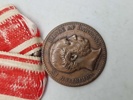 Original 1864 krigs deltager medalje med krydsbånd 