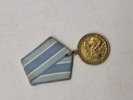 Medaljen "For genoprettelsen af den sorte metallurgis virksomheder i Syd"