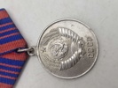 Medal "For excellent service in the protection of public order"