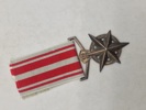 Original sydafrikansk politimedalje for bekæmpelse af terrorisme. 
