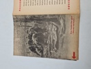 Dødsskoven ved Katyn D.N.S.A.P