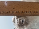 23531d_8dde3b9bc08c6d1_sm.jpeg
