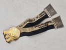 Originale tyske veteran nåle/pins