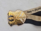 Originale tyske veteran nåle/pins