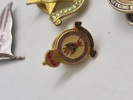 Samling diverse veteran pins og træf pins 
