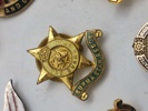 Samling diverse veteran pins og træf pins 