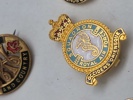 Samling diverse veteran pins og træf pins 