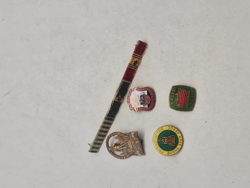 Lot diverse pins mm.