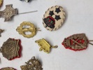 Lot pins og regiments mærker 