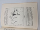 Original ww2 pjece - Tysk strategi 
