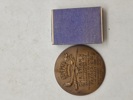 Christian X Frederik IX medalje 