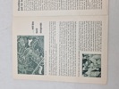 Originalt olympiaden 1936 program