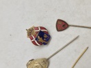 'Samling Danske WW2 pins 