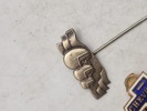 Pins automobilia 