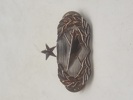 Originalt USAF Senior Historian Badge 
