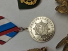 Regimentsmærker, Livgarden mm.