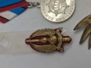 Regimentsmærker, Livgarden mm.