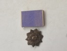 CCCP / USSR mærke 