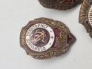 Diverse russiske badges 