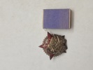 "Tegnet til helten fra januarbegivenhederne i 1918" (Знак «Герою январских событий 1918 года»)