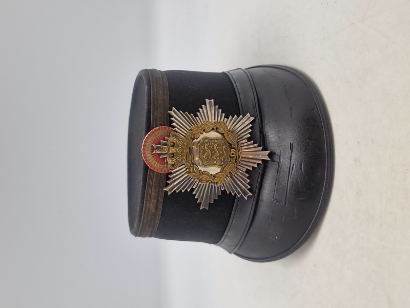 Original Dansk kepi 