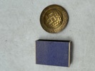 Original Reichsarbeitsdienst broche for kvinder 