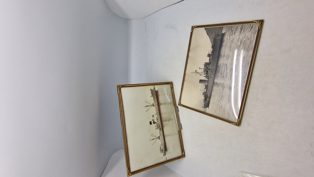 Originale søværns fotos, indrammede