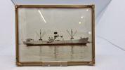 Originale søværns fotos, indrammede