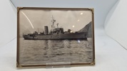 Originale søværns fotos, indrammede