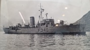 Originale søværns fotos, indrammede