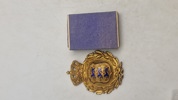 Originalt Brystskjold fra den Danske brigade i Sverige WW2 