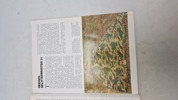 WEHRMACHT CAMOUFLAGE UNIFORMS & Post-War Derivatives