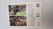 WEHRMACHT CAMOUFLAGE UNIFORMS & Post-War Derivatives