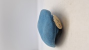 Original UN baret 