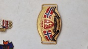 Samling diverse pins 