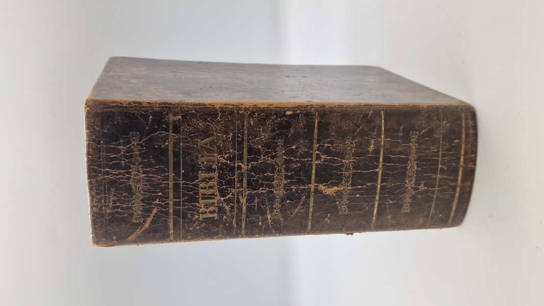 Original bibel 1859