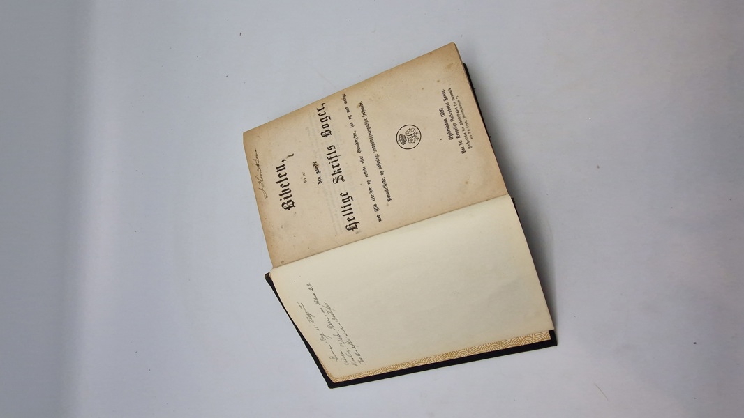 Original bibel - 1880