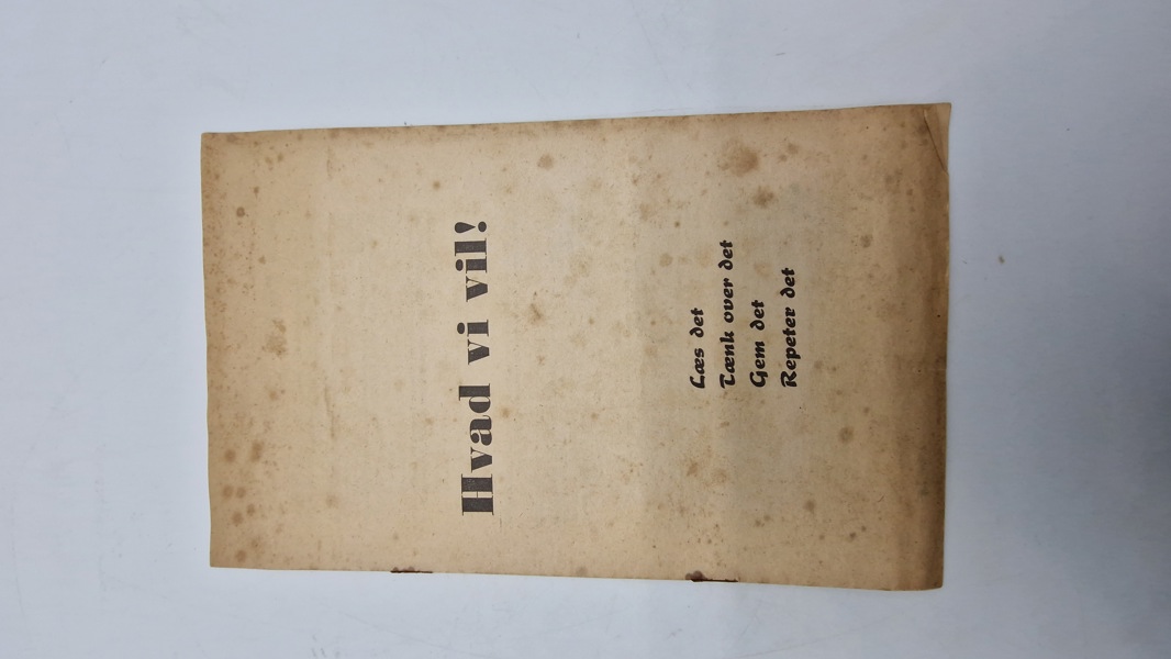 Original D.N.S.A.P flyer