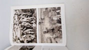 Brigade Ramcke
in North Africa
1942-1943