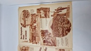 Originalt tysk olympiade blad - 1936
